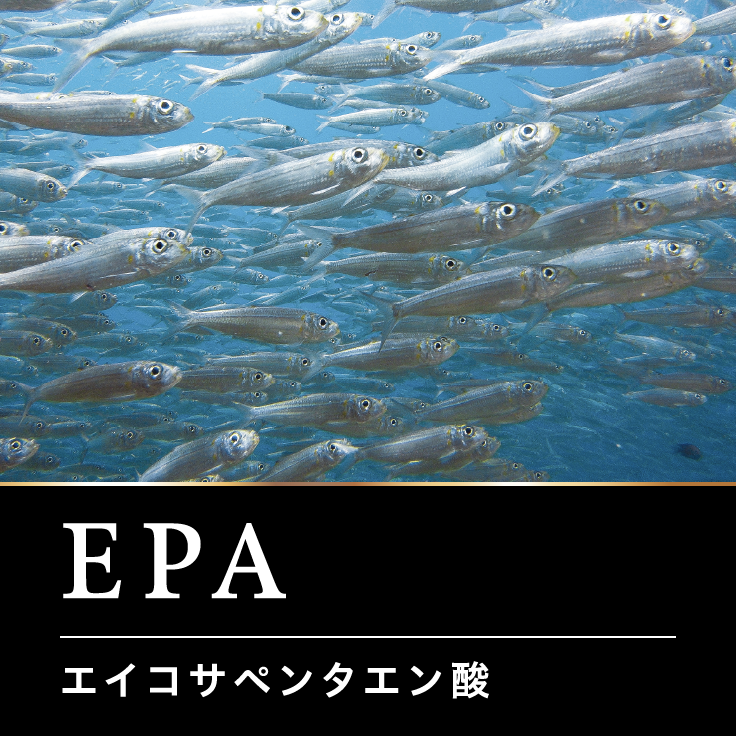 EPA エイコサペンタエン酸