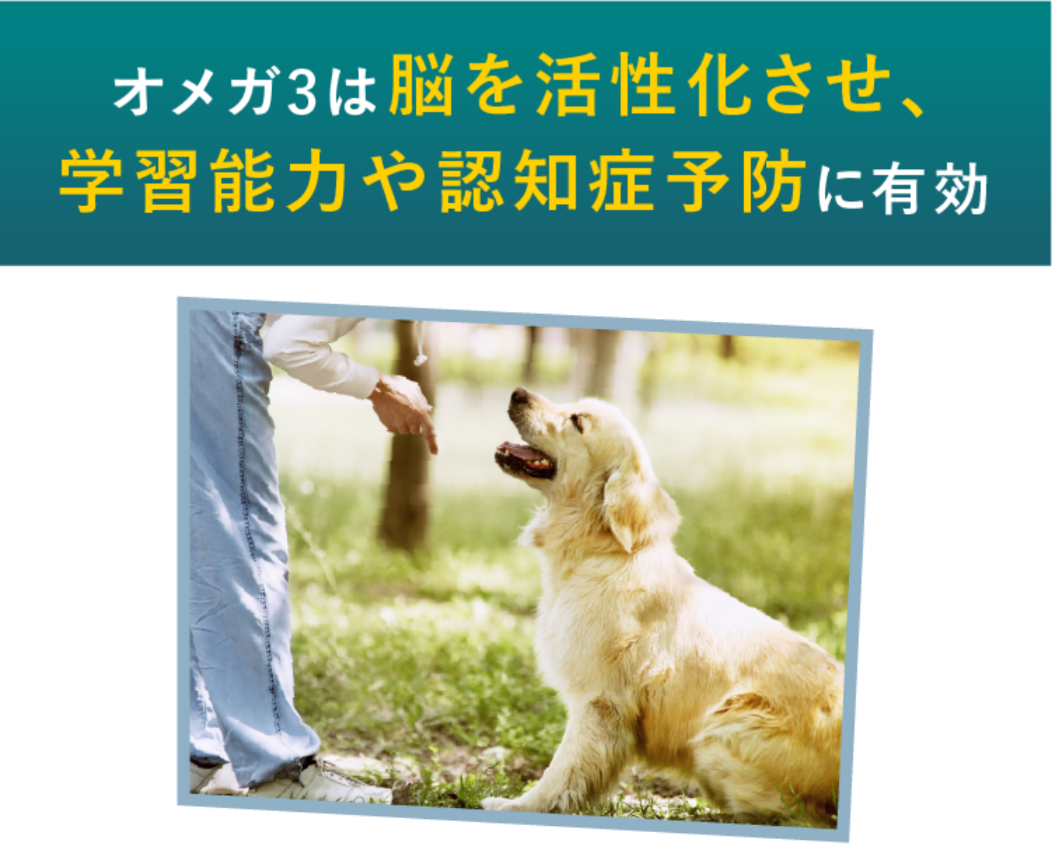 オメガ3オイル公式通販