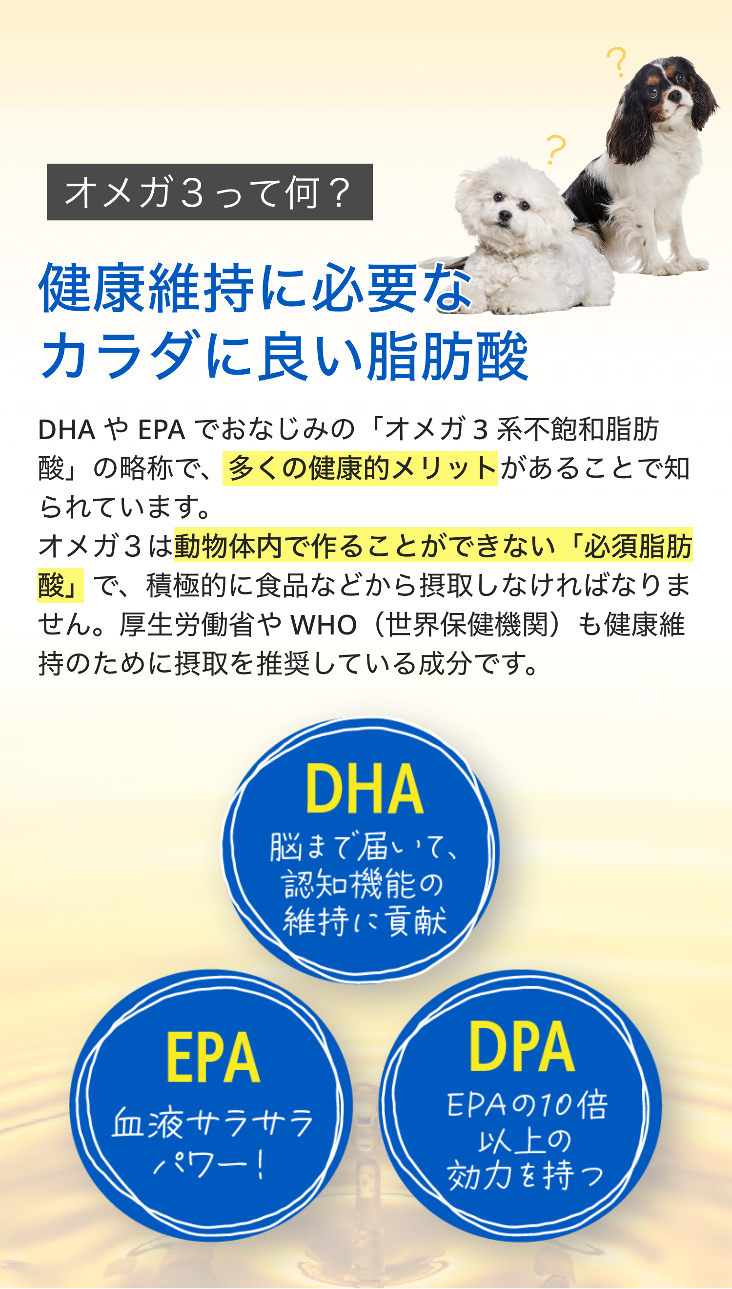 オメガ3オイル公式通販